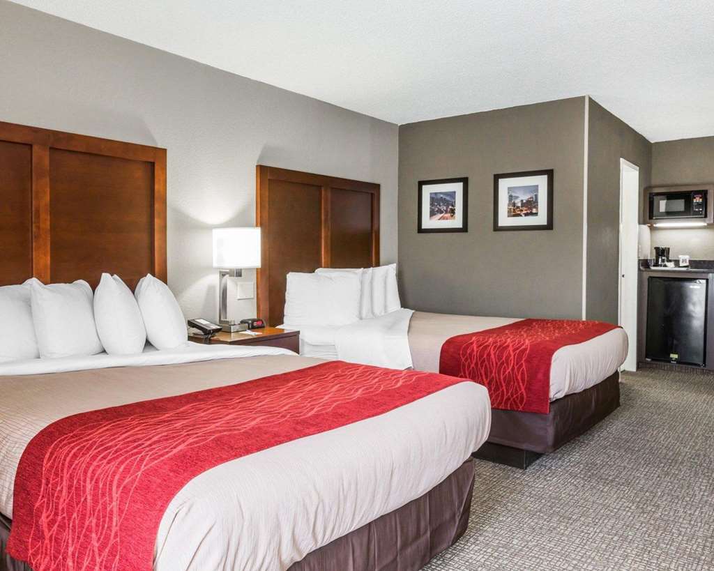 Comfort Inn Sandy Springs – Perimeter Atlanta Rom bilde